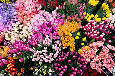 《霍格沃茨之遗》争议多 却仍居Steam愿望榜单榜首